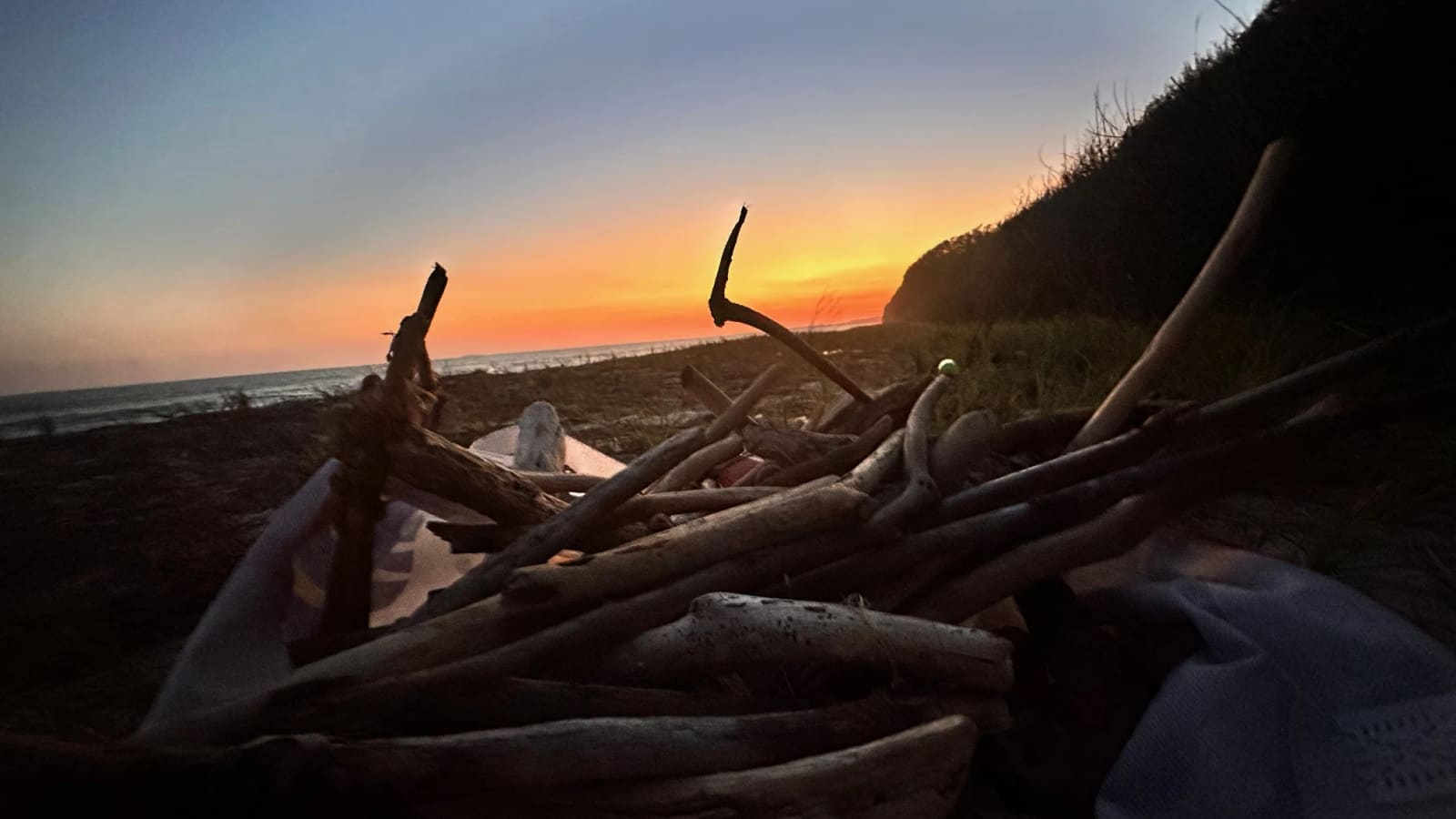 Recolección de madera de deriva en la costa