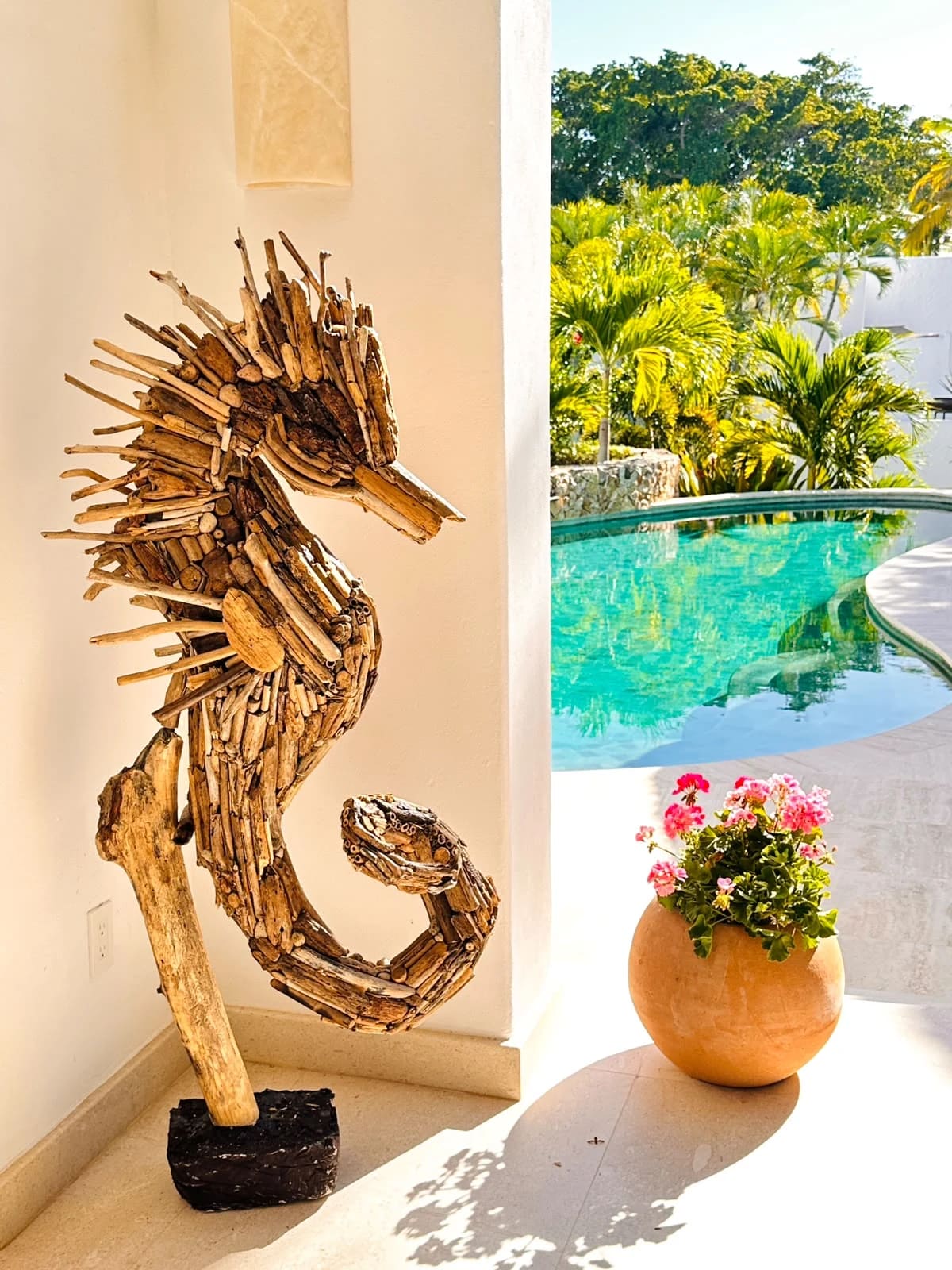 El Caballo de Mar, vista de la escultura de madera de deriva junto a una alberca